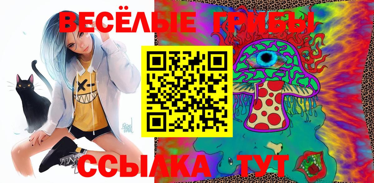 Псилоцибиновые грибы ЛСД  закладка  Чусовой  Вход с VPN 